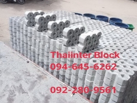 บล็อกปูพื้น บล็อกปูถนน บล็อกตัวหนอน บล็อกแปดเหลี่ยม บล็อกปูหญ้า